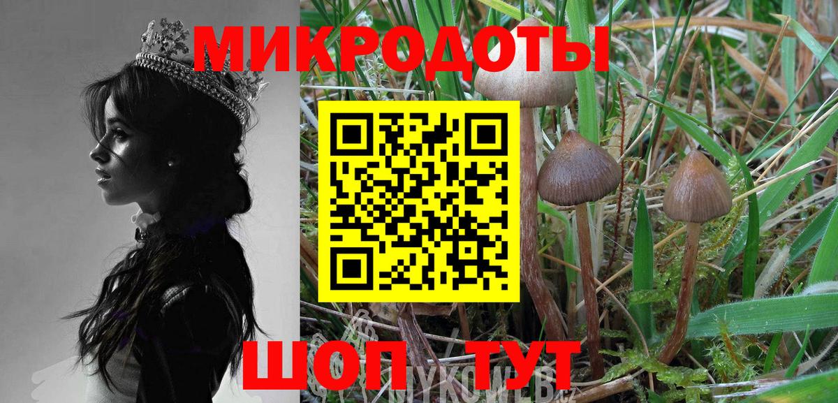 Галлюциногенные грибы Cubensis  Вход с VPN  Качканар 