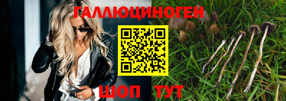 Псилоцибиновые грибы Magic Shrooms Качканар